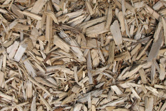 biomass boilers Webheath