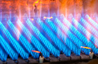 Webheath gas fired boilers